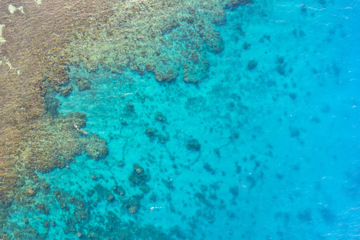 fiji 1