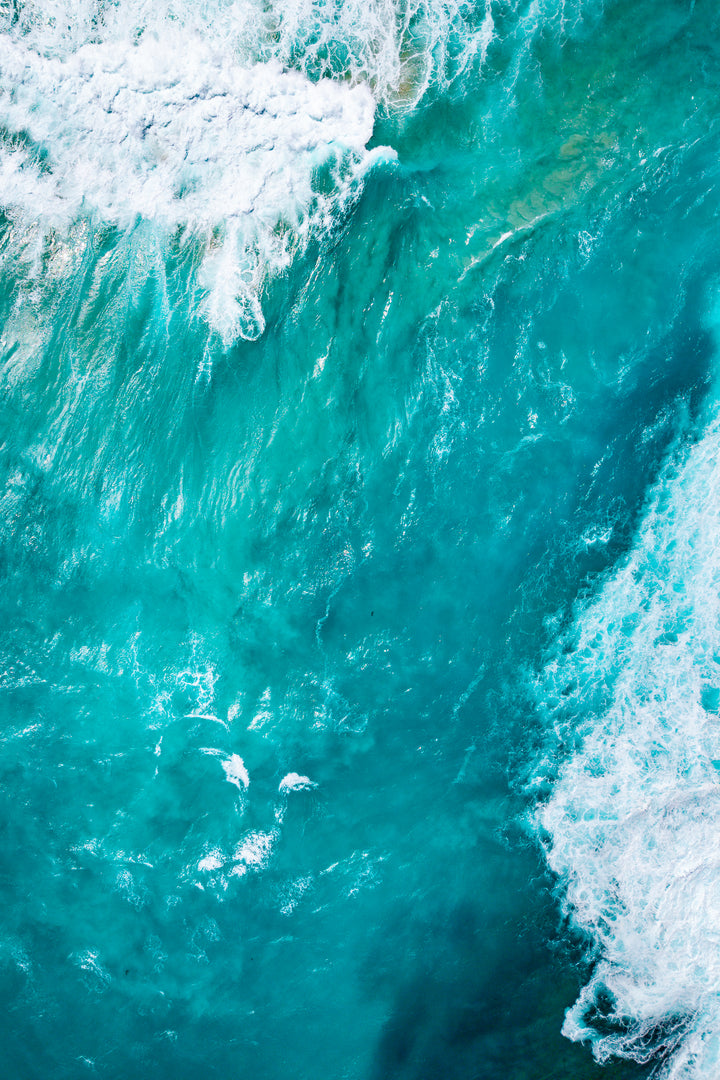 moody blue 1