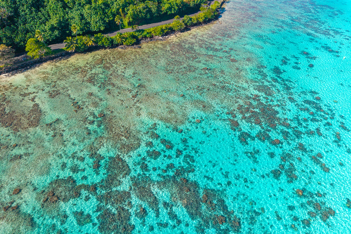 moorea lagoon 4