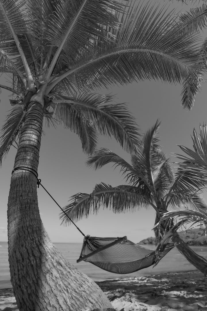 BW chill