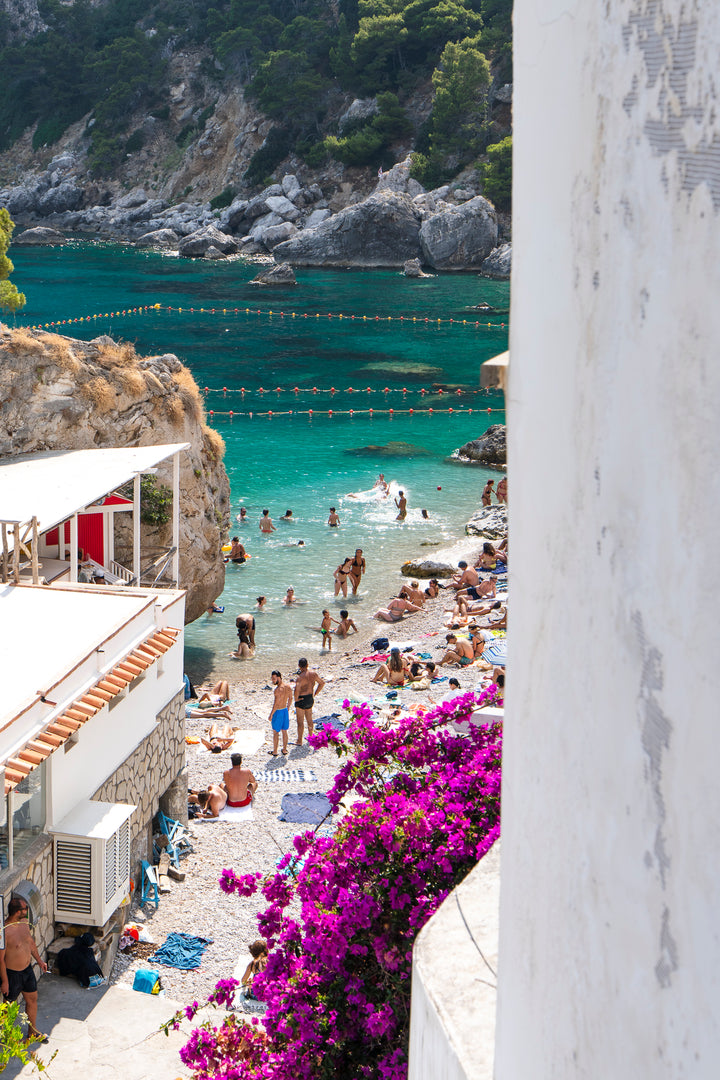 A scenic coastal beach and cove view with turquoise water, rocky shoreline, swimmers, beachgoers, white buildings, and bright purple flowers in the foreground.