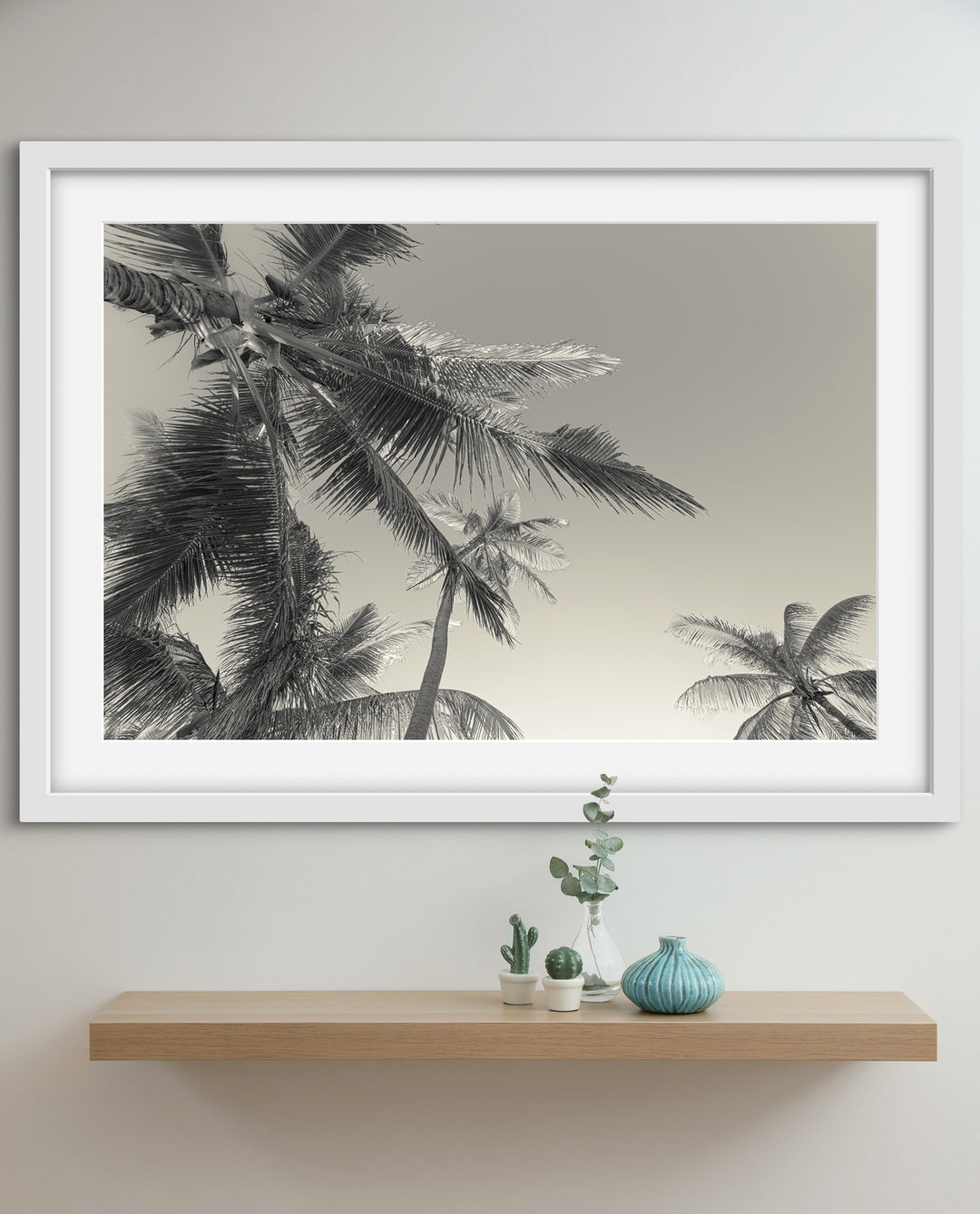 BW palms