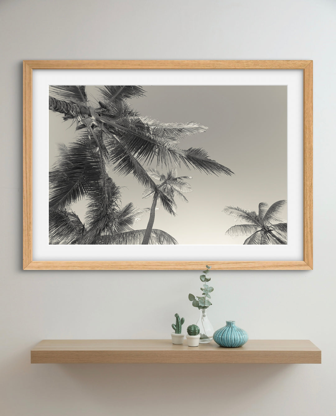 BW palms