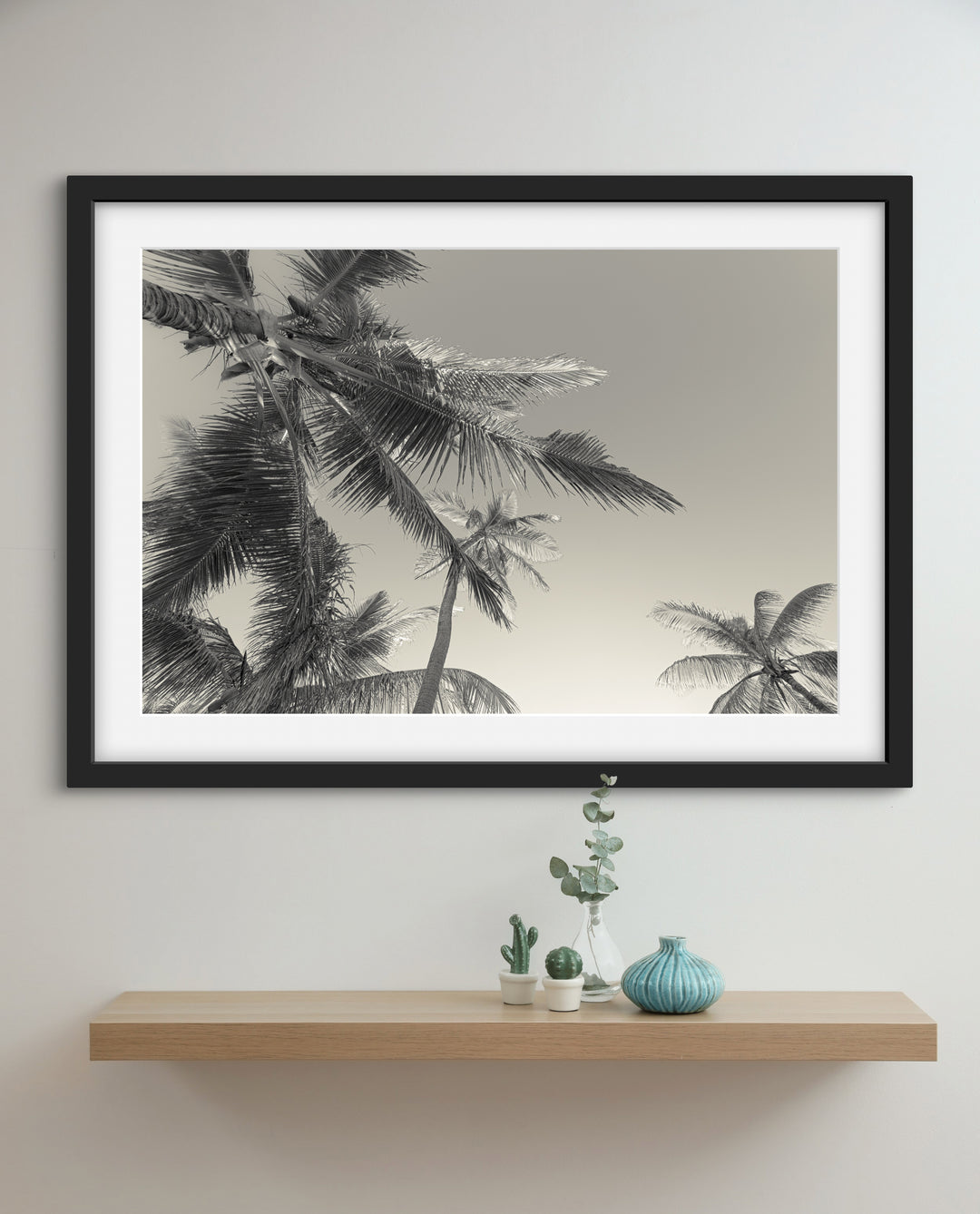 BW palms
