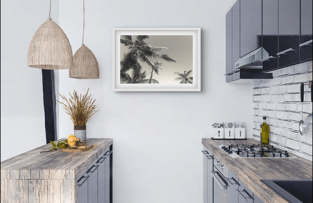 BW palms