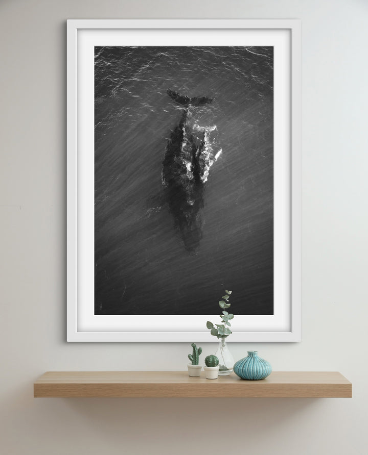 BW whale
