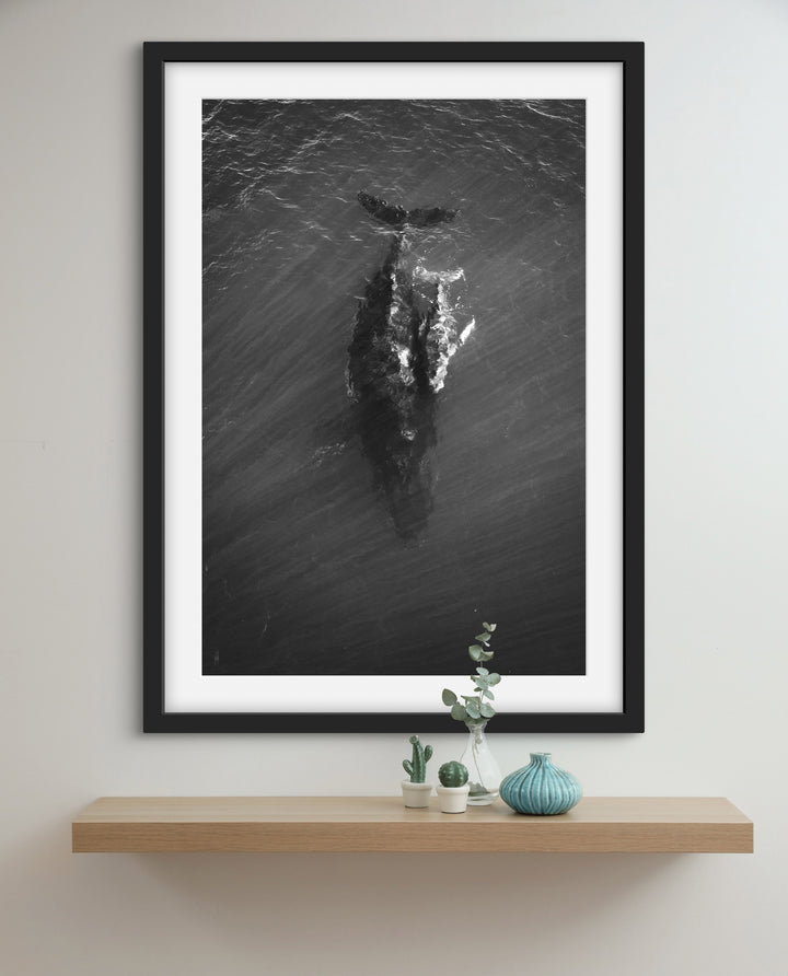 BW whale