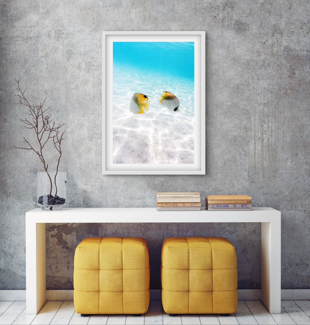 tropical fish 1