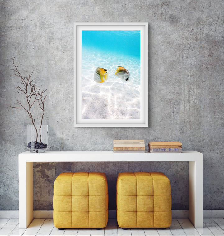tropical fish 1