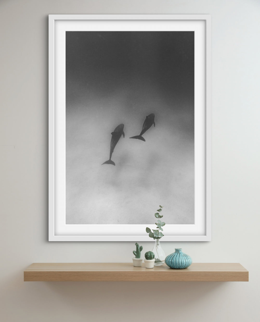 dolphin 3
