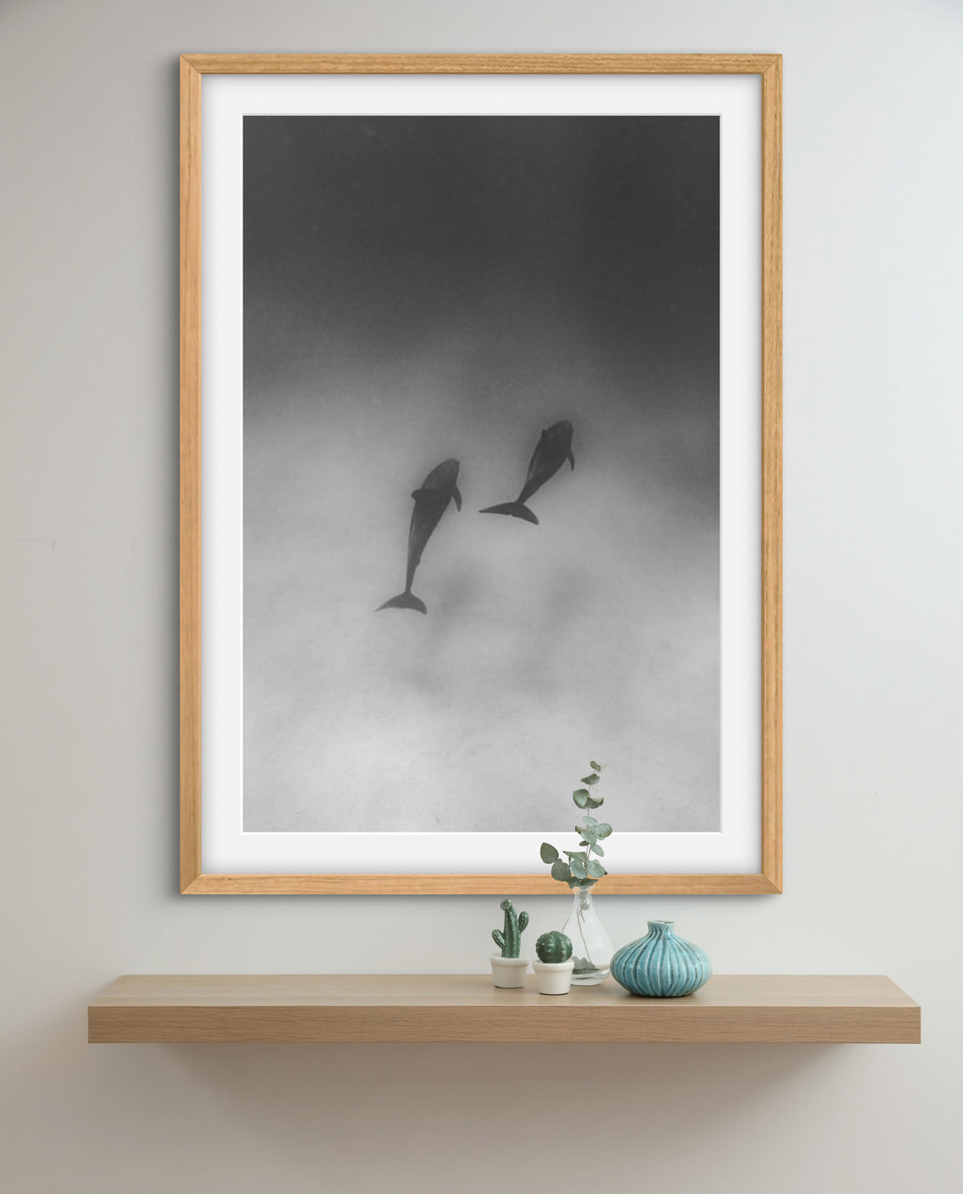 dolphin 3