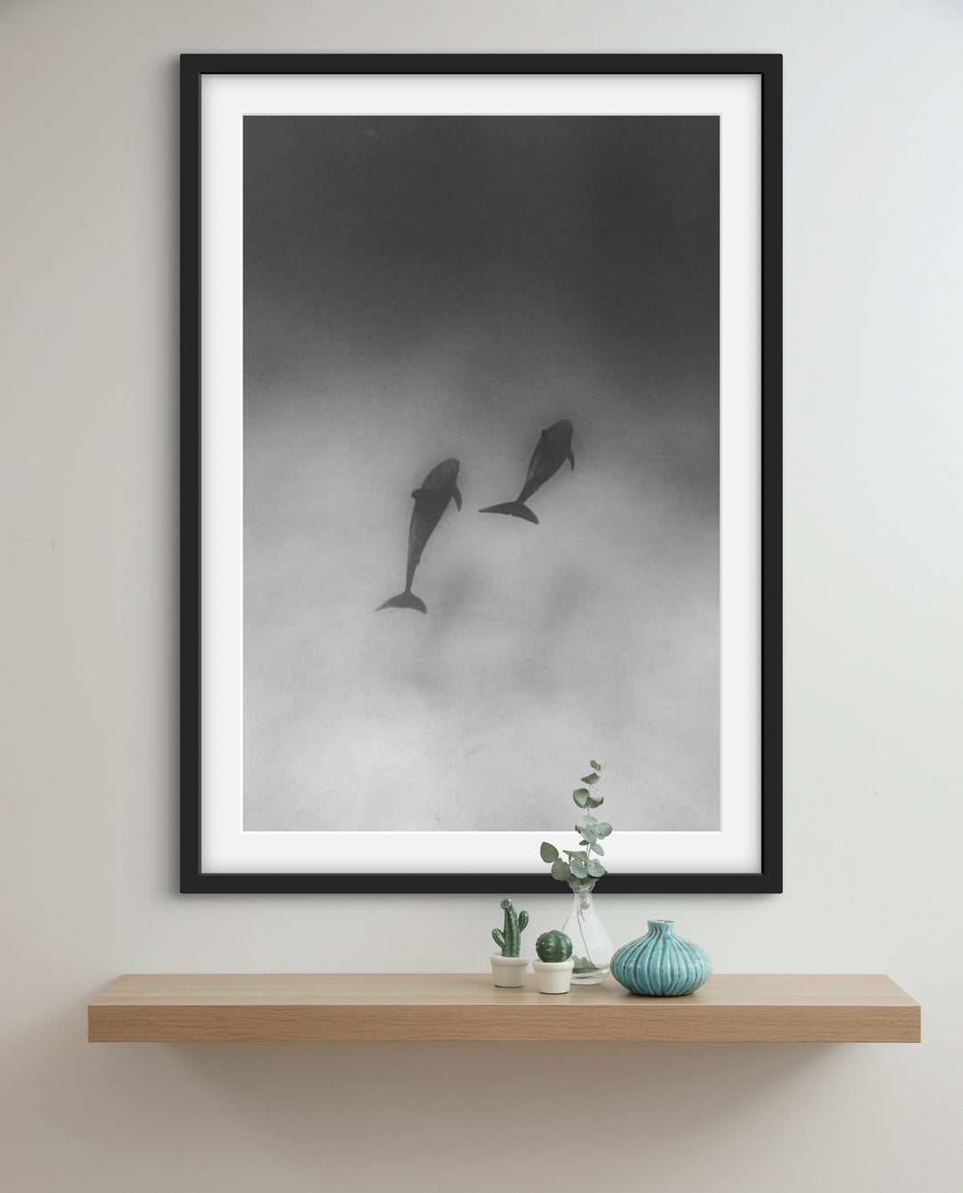 dolphin 3