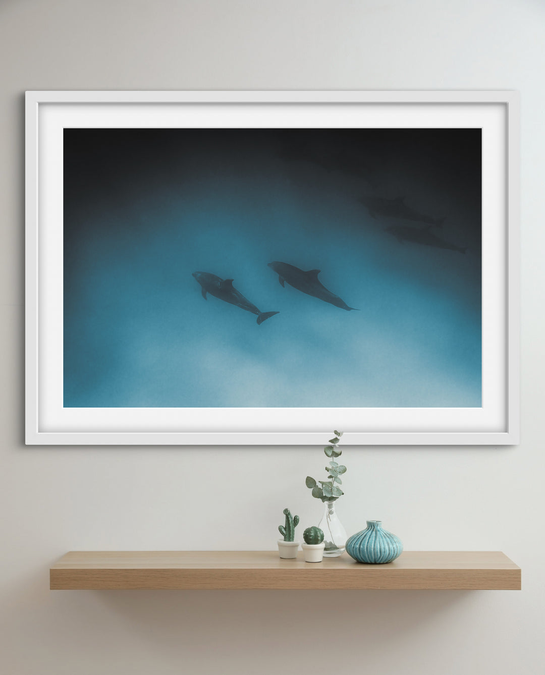 dolphins 1