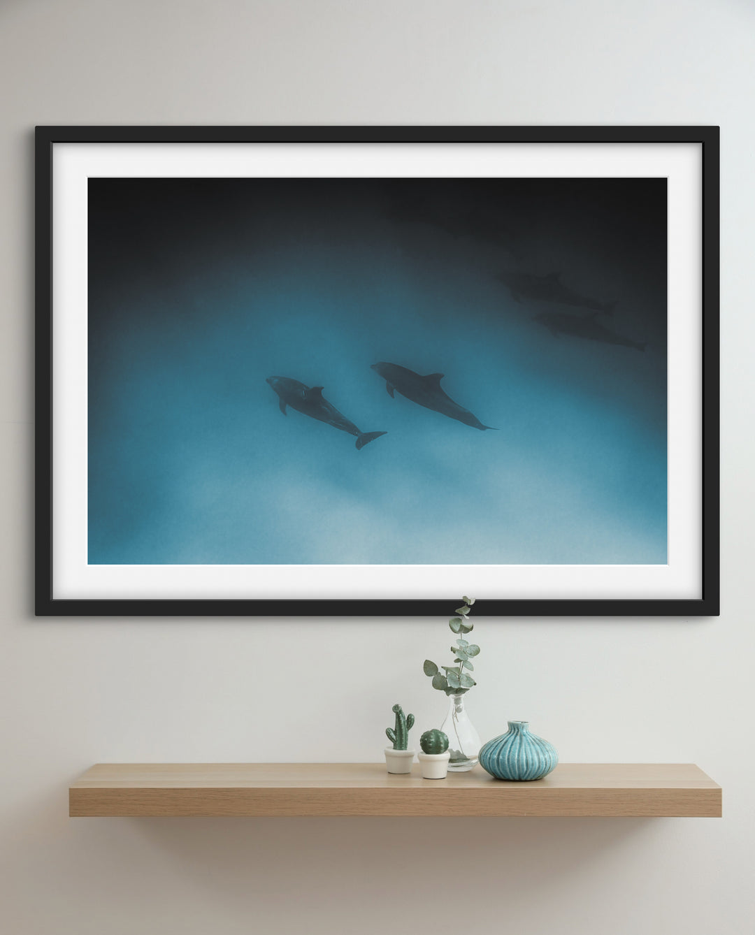 dolphins 1
