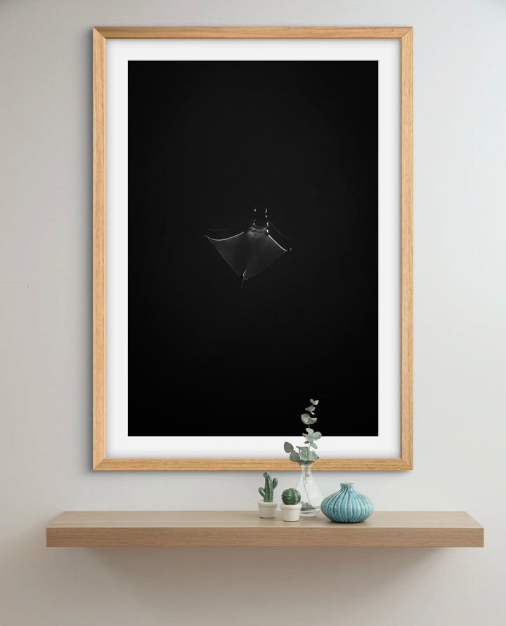 monochrome mobula 2