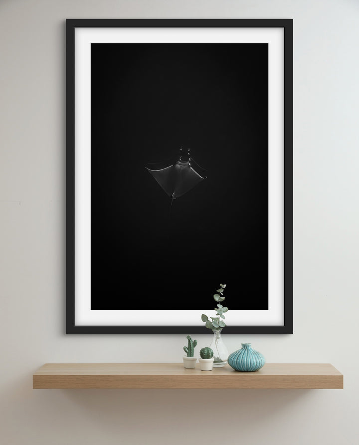 monochrome mobula 2