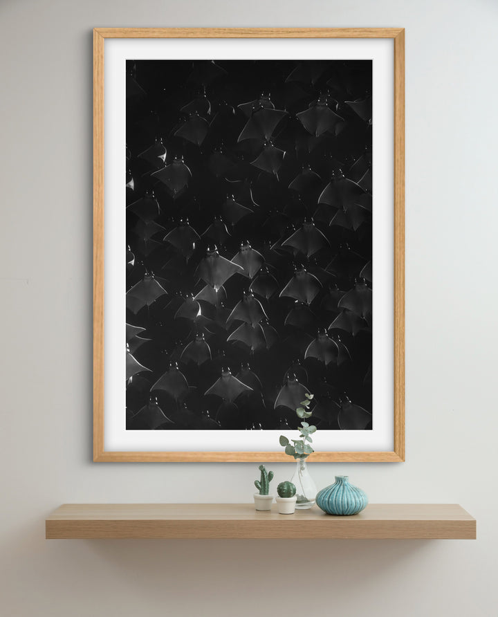 monochrome mobula 1