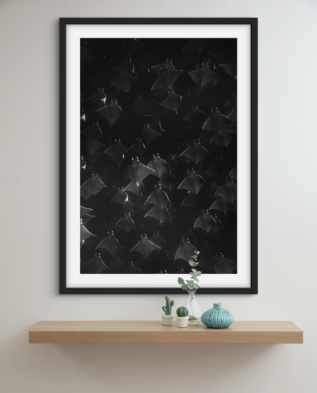 monochrome mobula 1