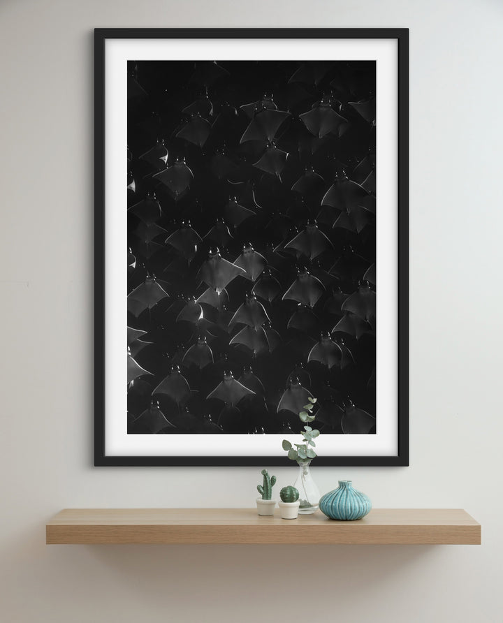 monochrome mobula 1