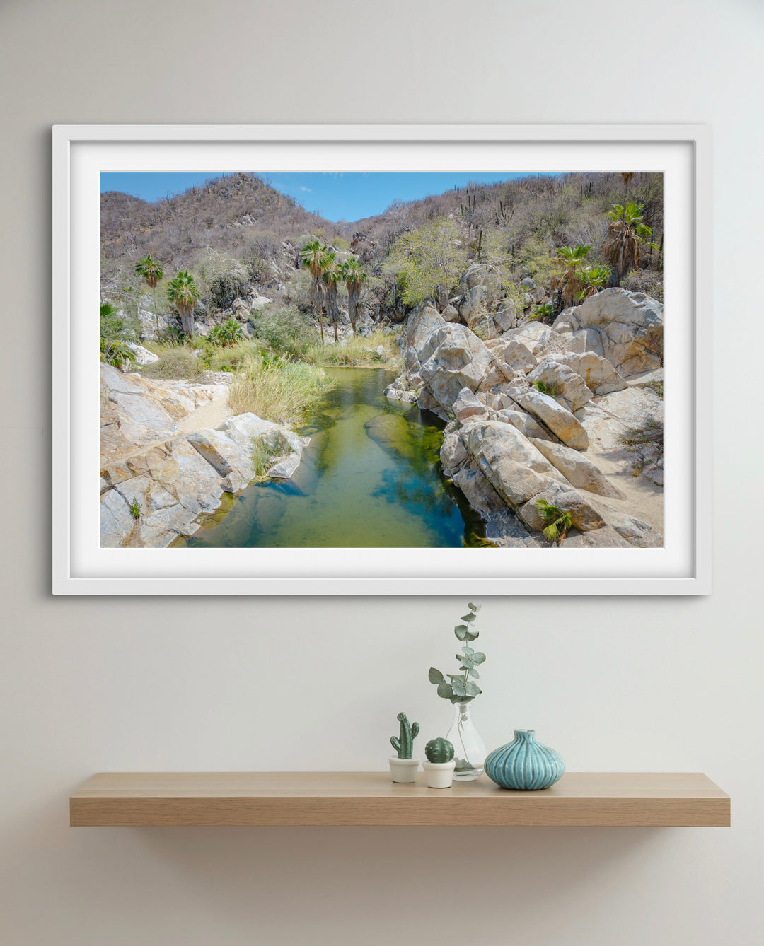oasis