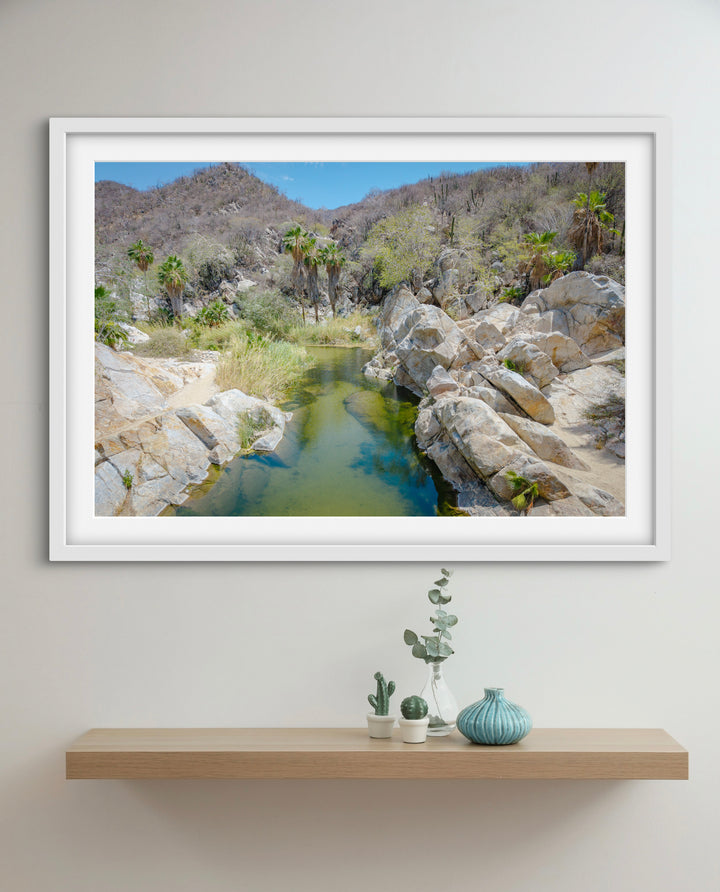 oasis