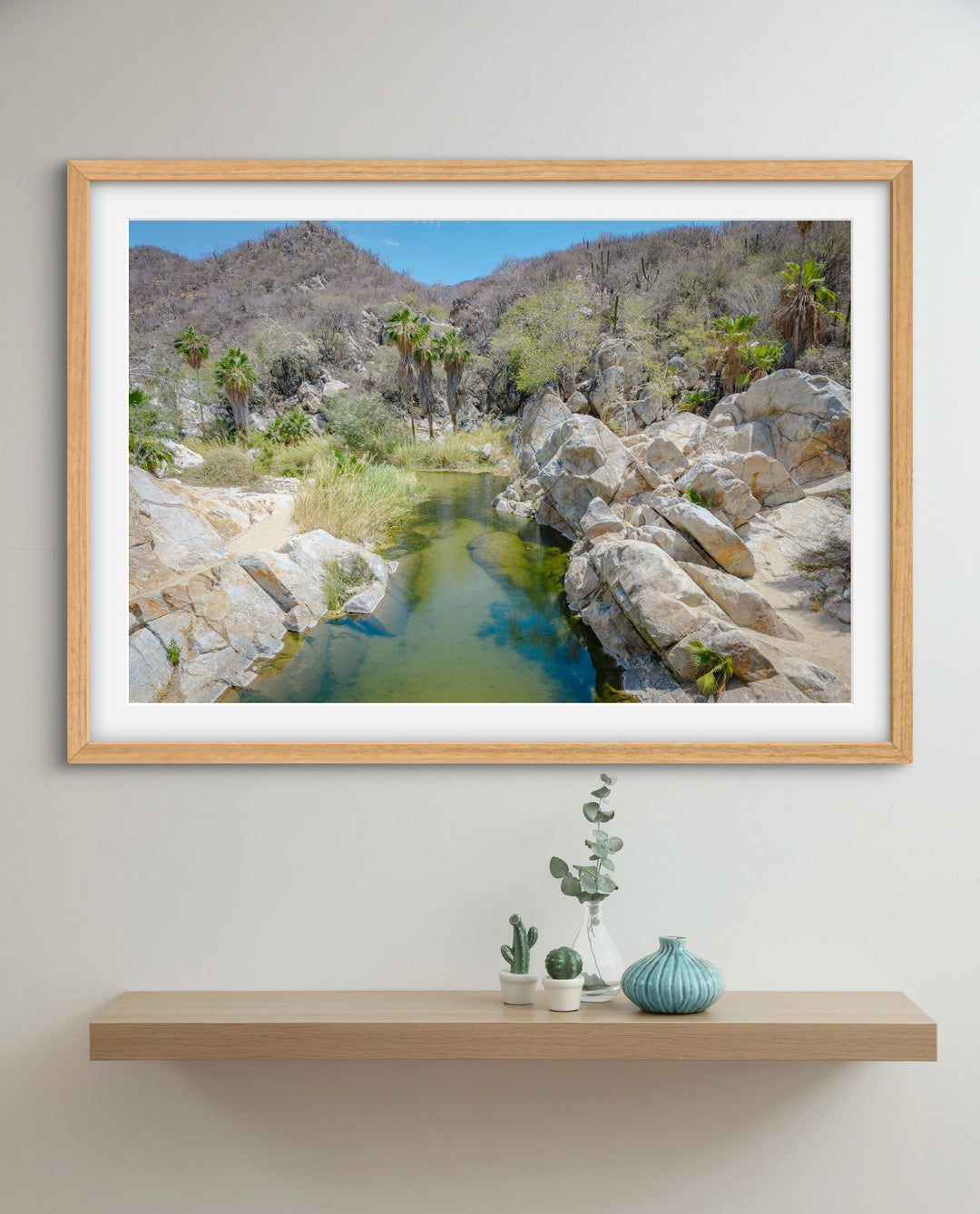 oasis