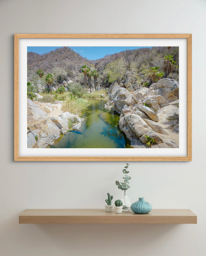 oasis