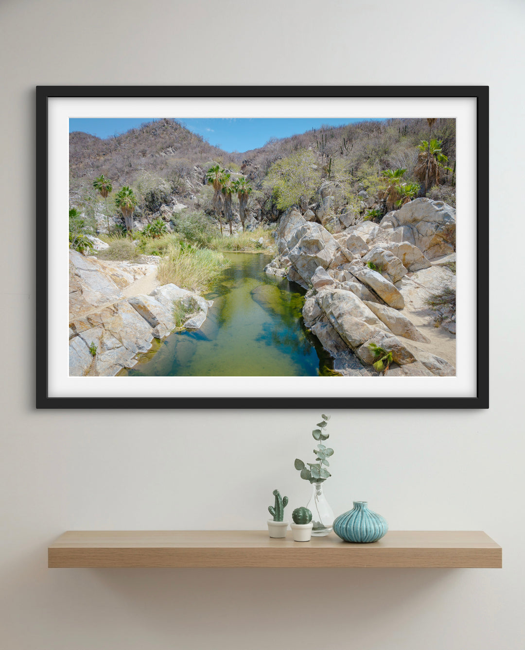 oasis