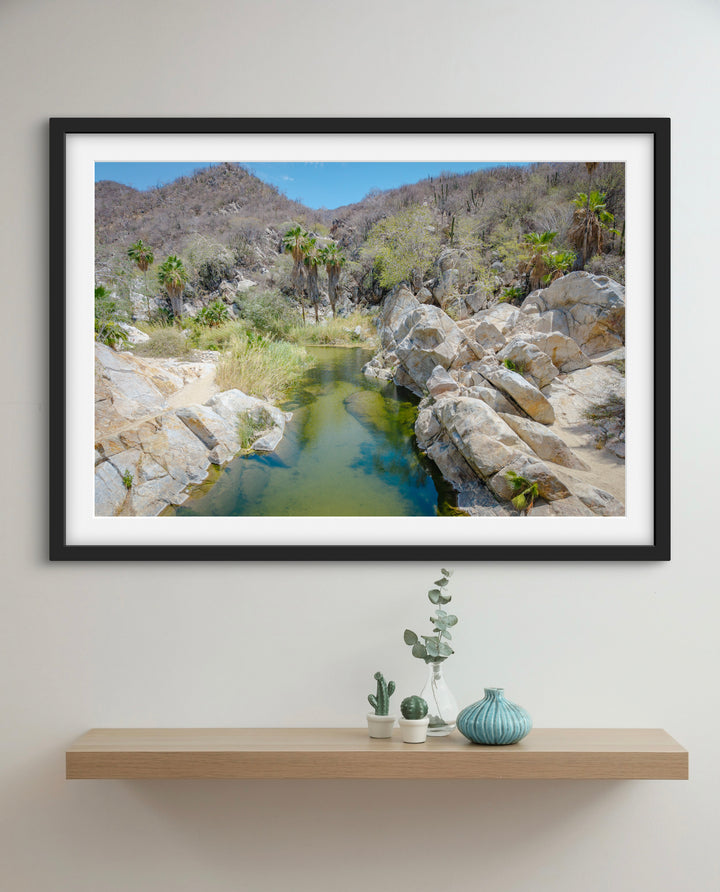 oasis