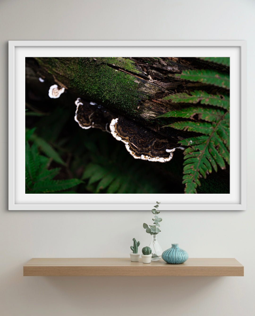 forest textures