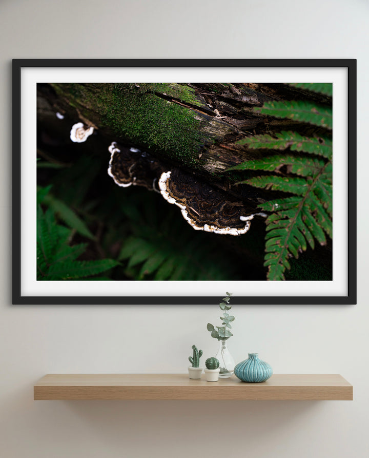 forest textures