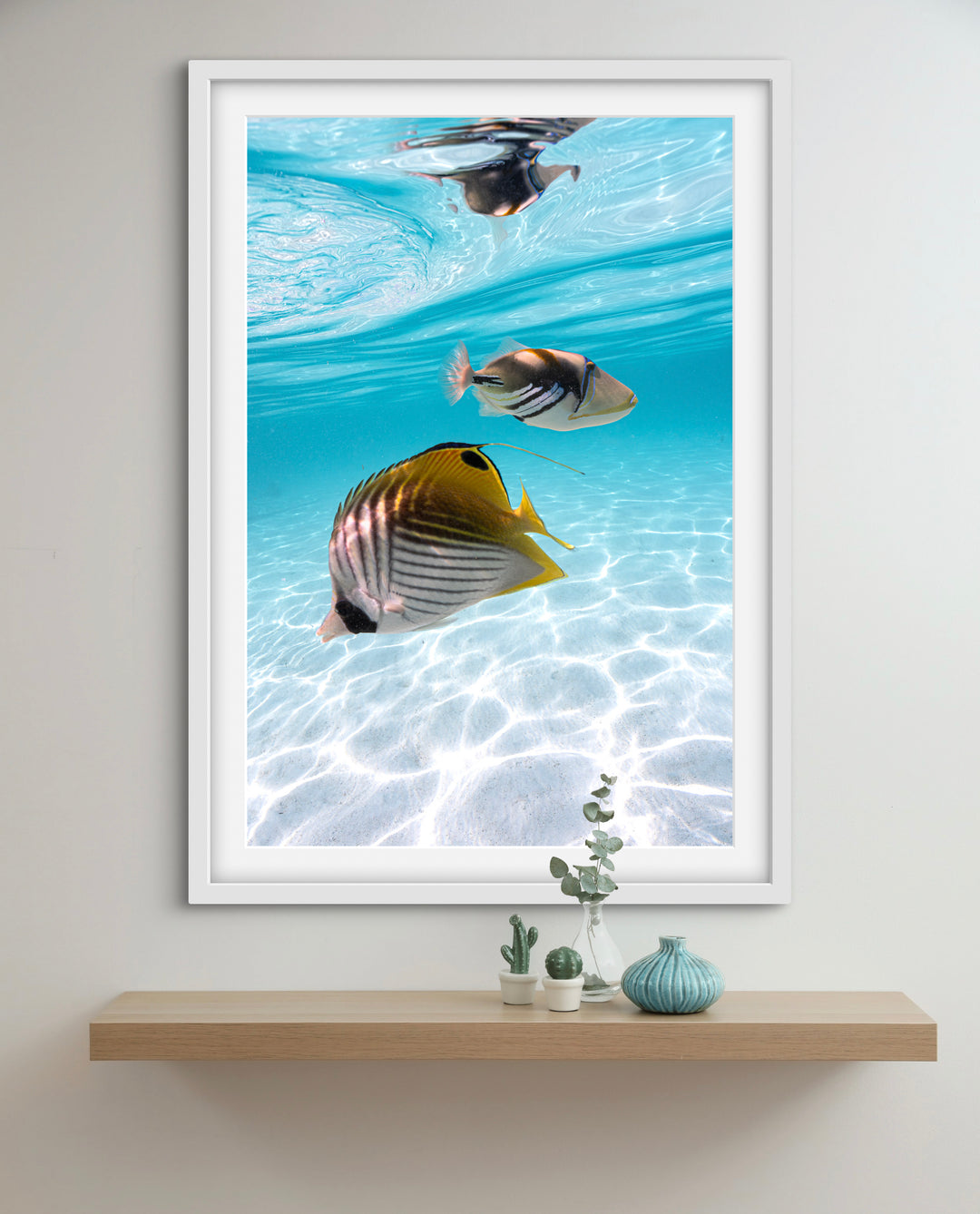 tropical fish 2