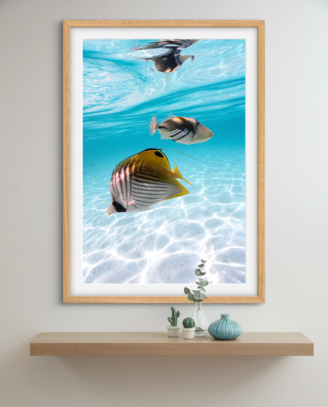 tropical fish 2