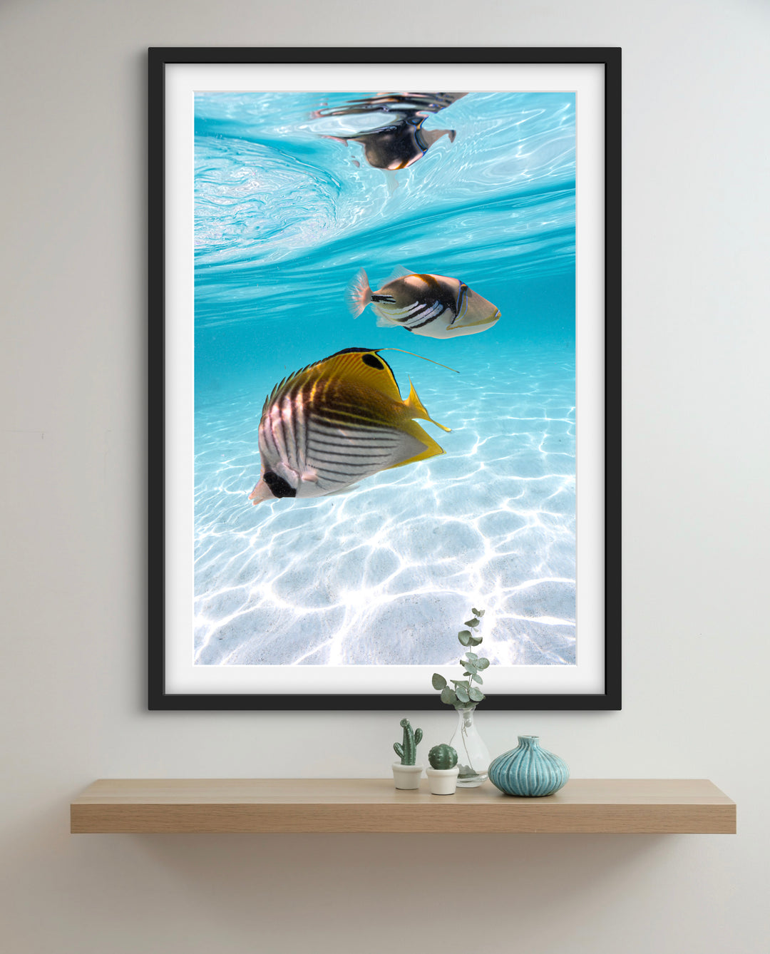 tropical fish 2