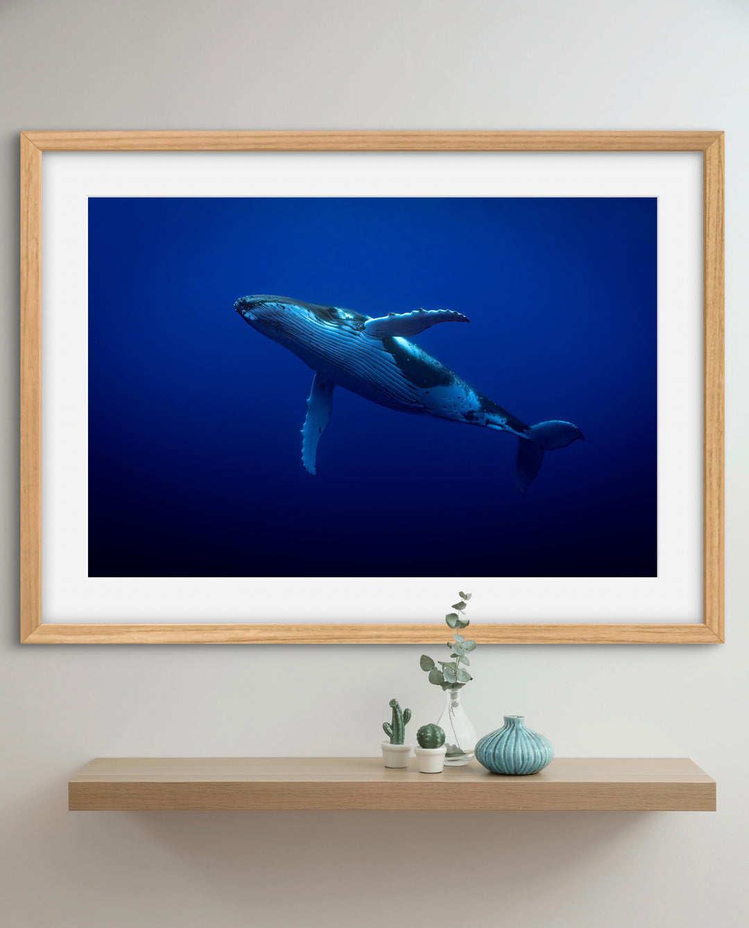 humpback whale 1