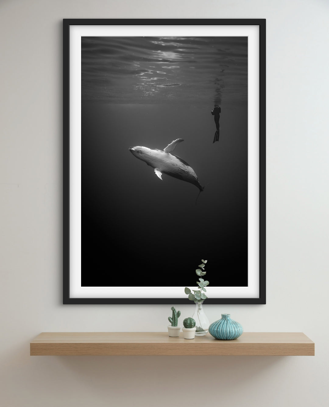 humpback whale 8