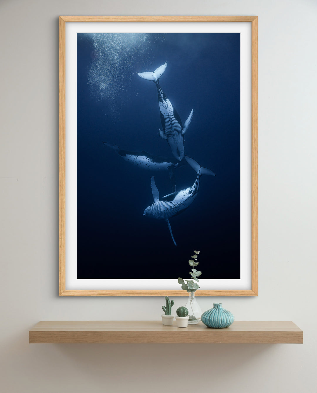 humpback whale 7