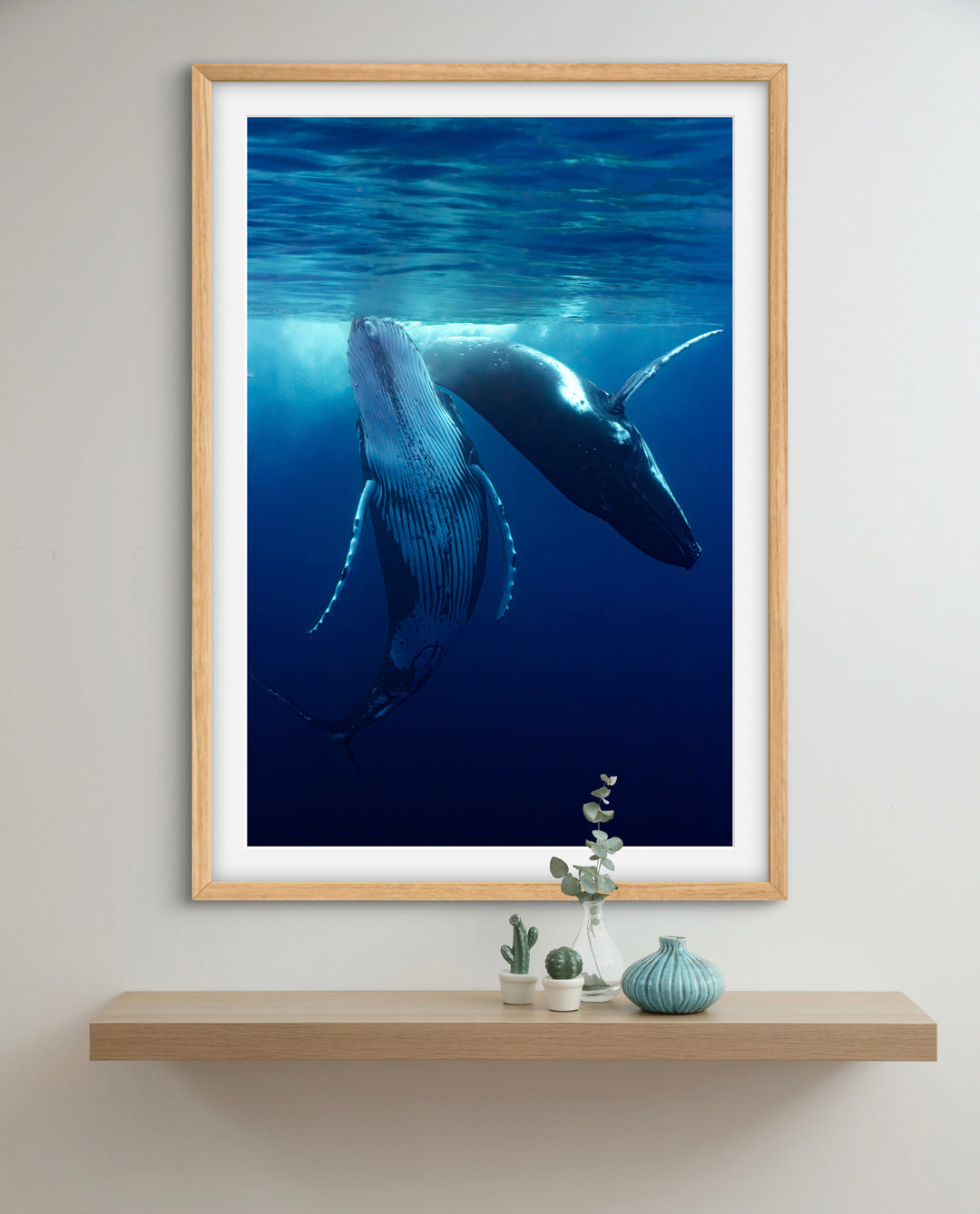 humpback whale 5
