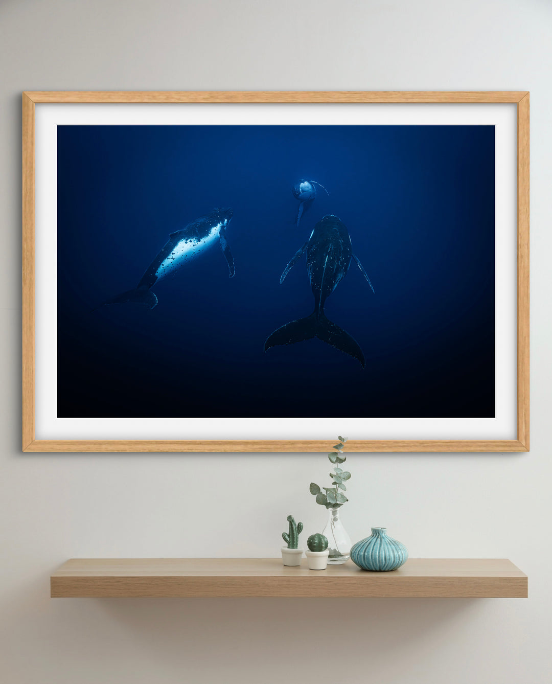 humpback whale 4