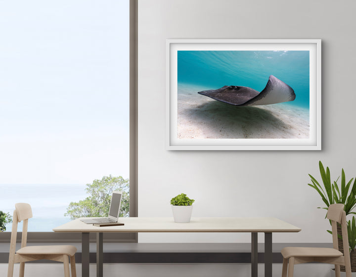 ray5