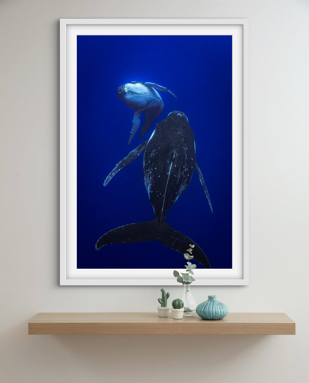 humpback whale 3
