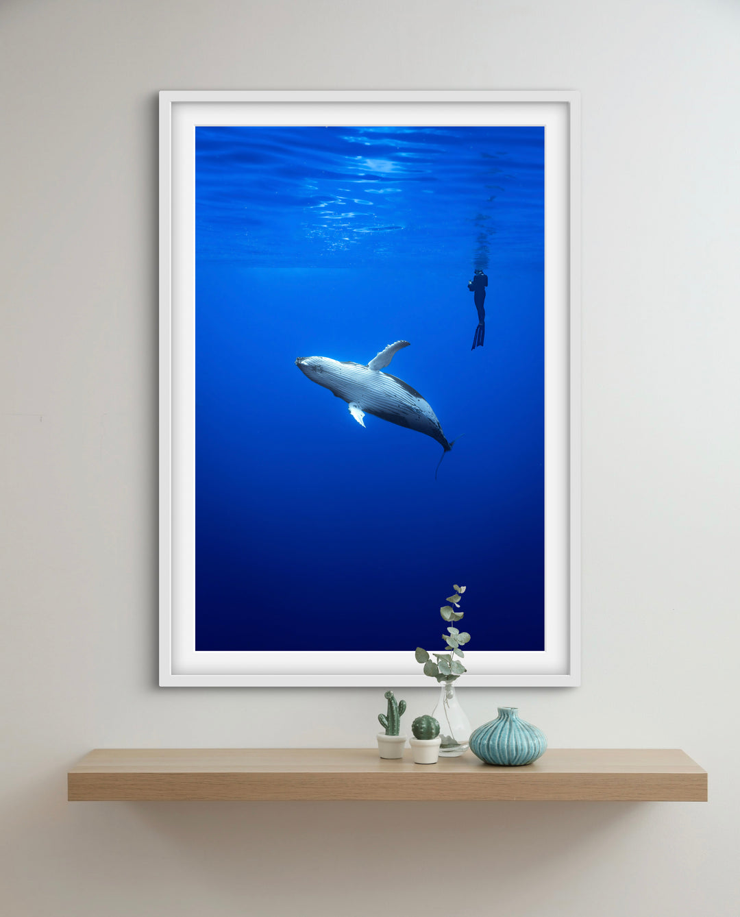 humpback whale 2