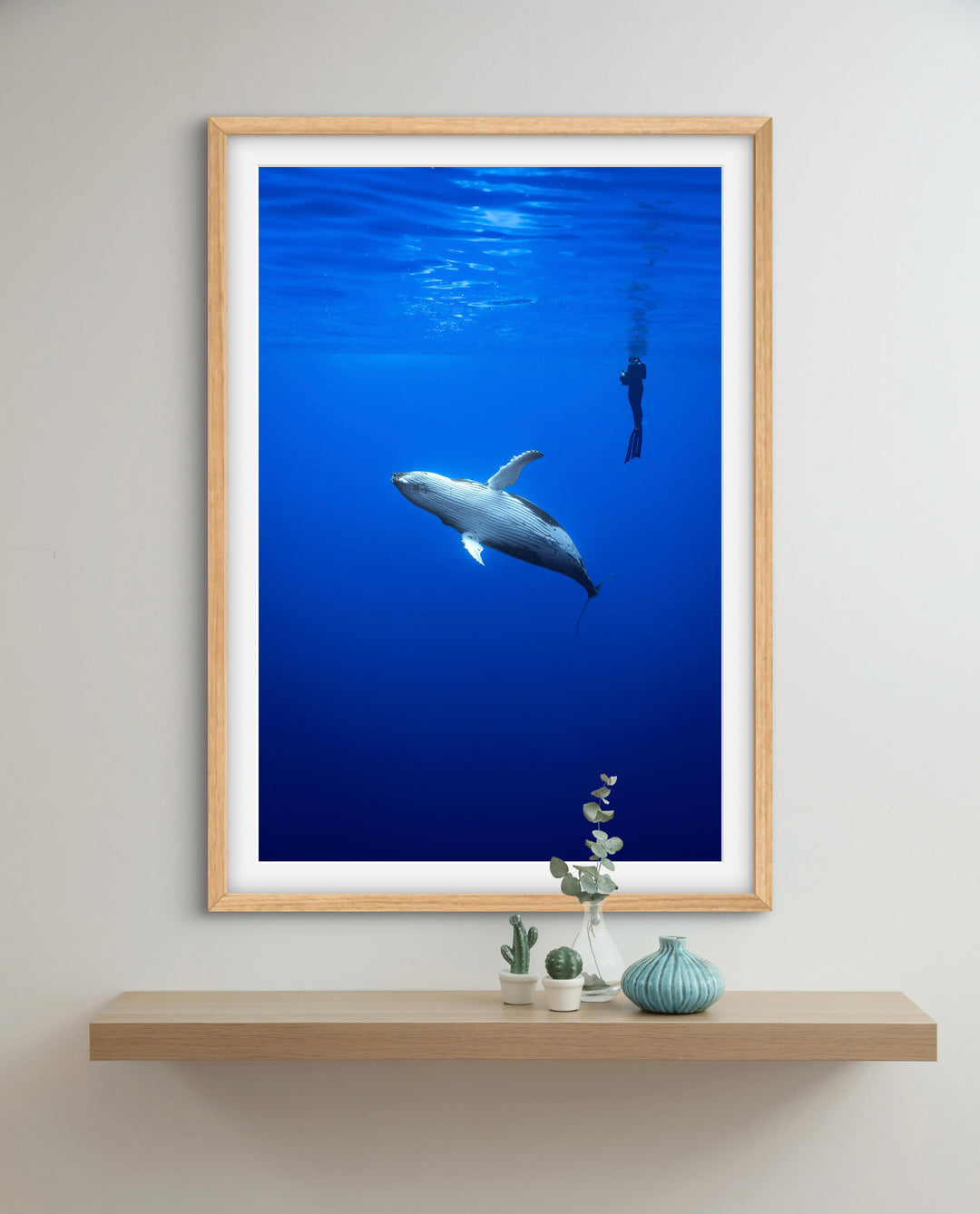 humpback whale 2