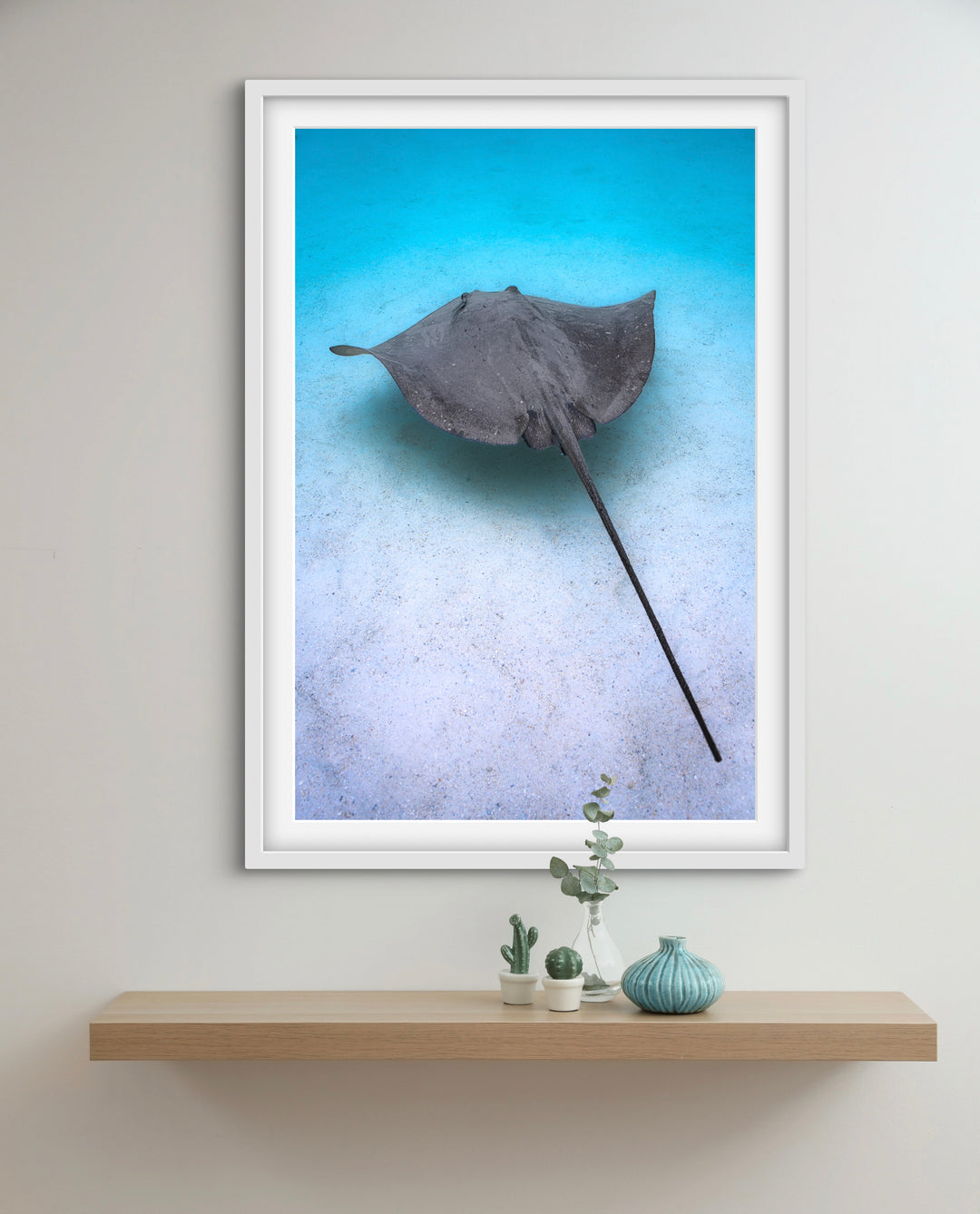 ray time