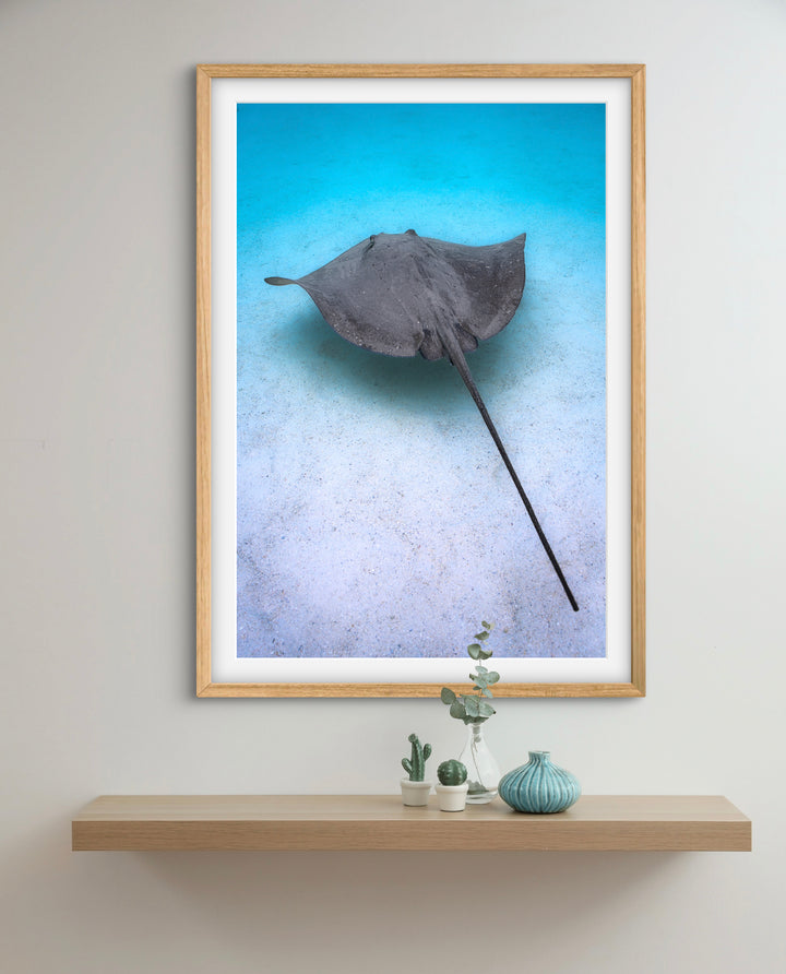 ray time