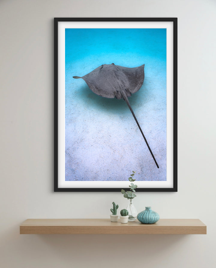 ray time