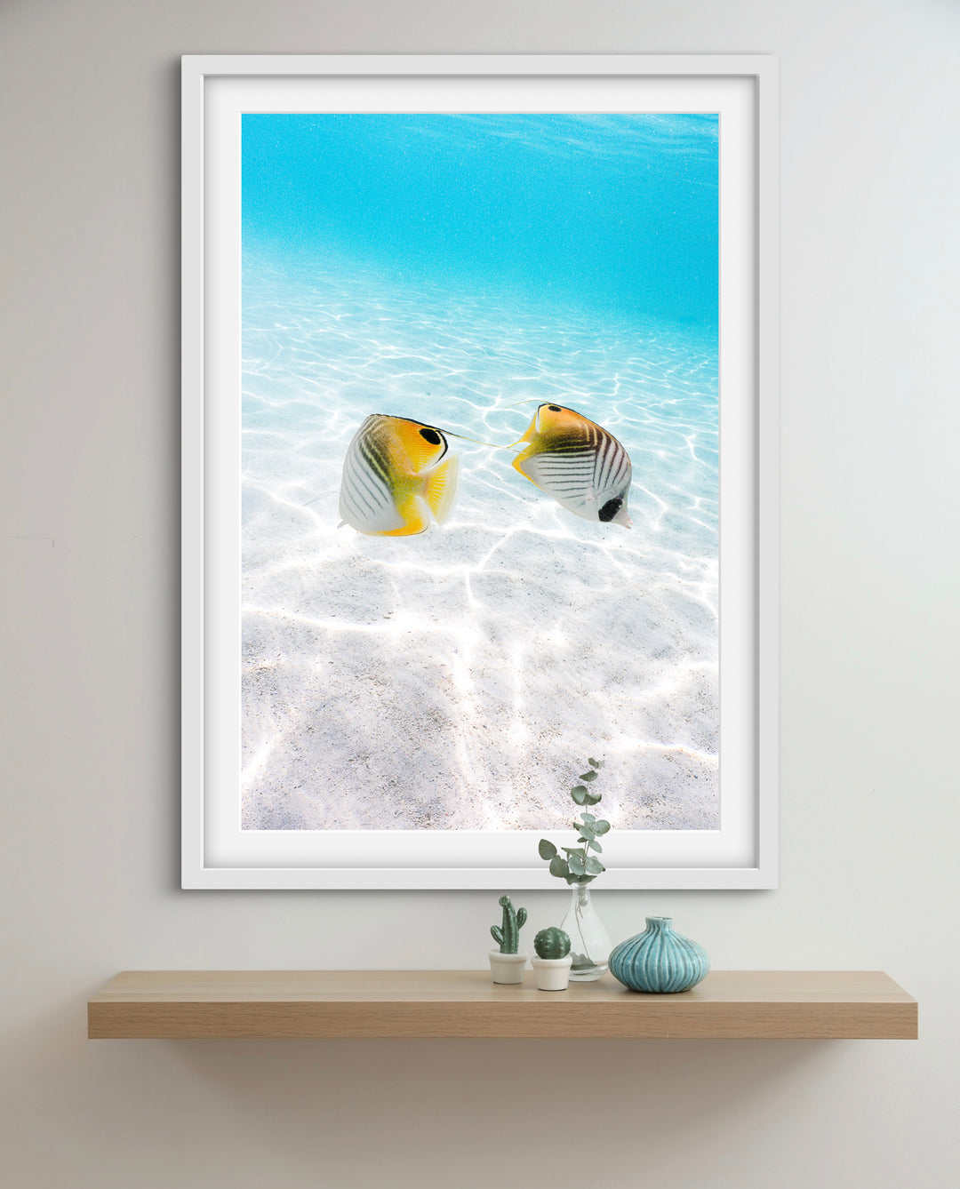 tropical fish 1