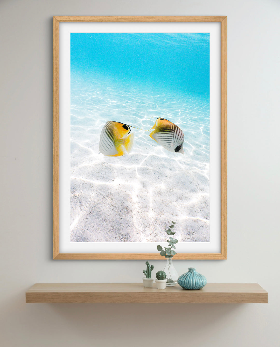 tropical fish 1