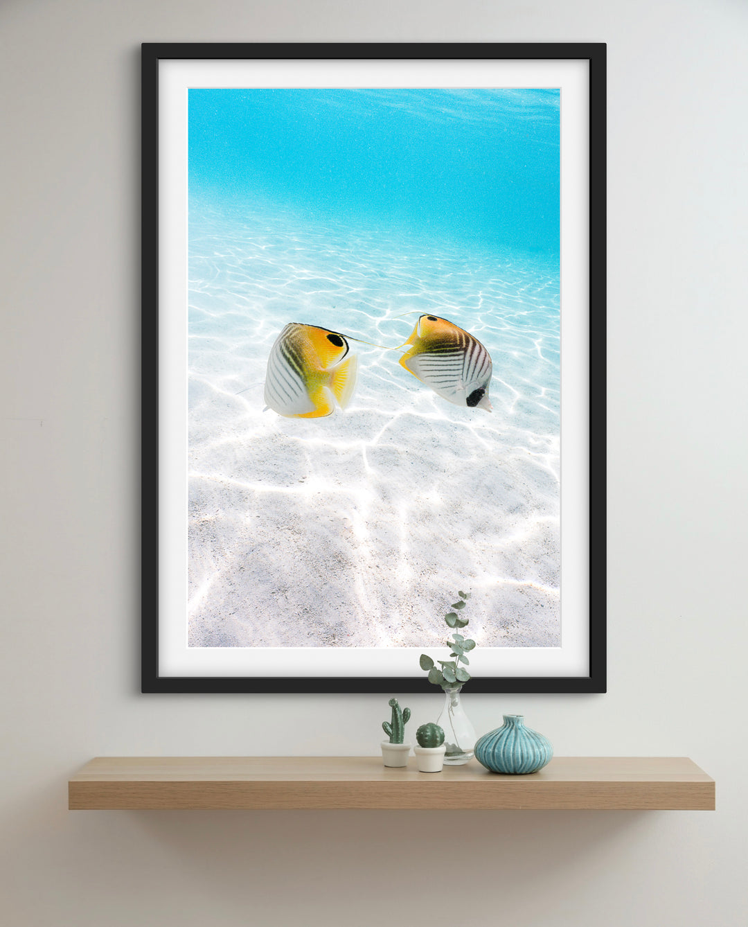 tropical fish 1