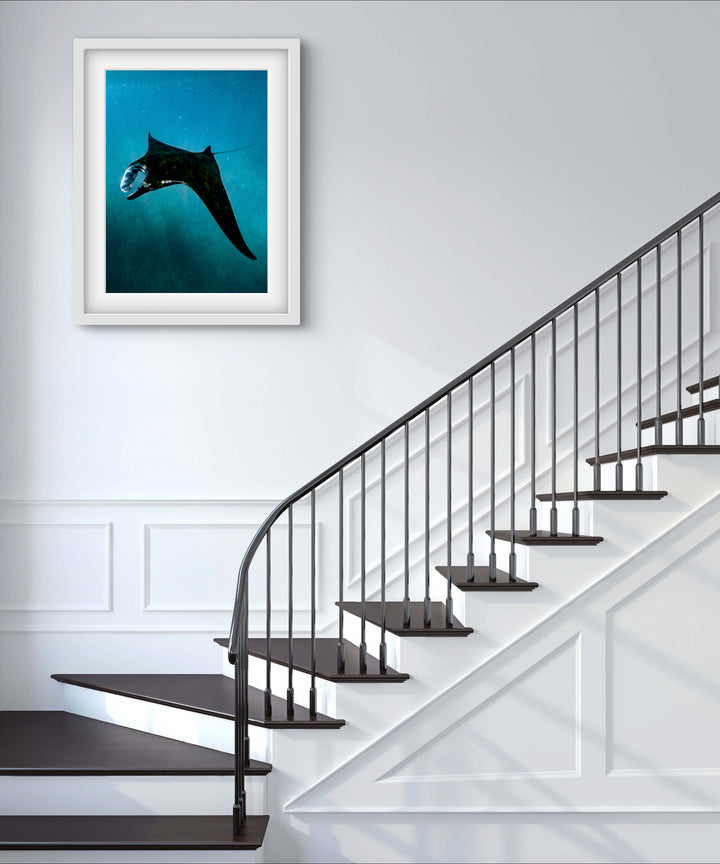 manta magic